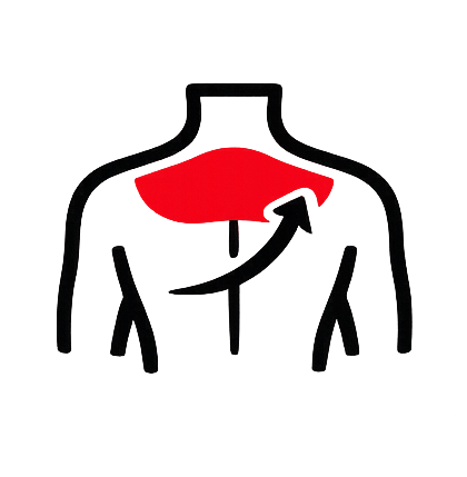 UPPER BACK